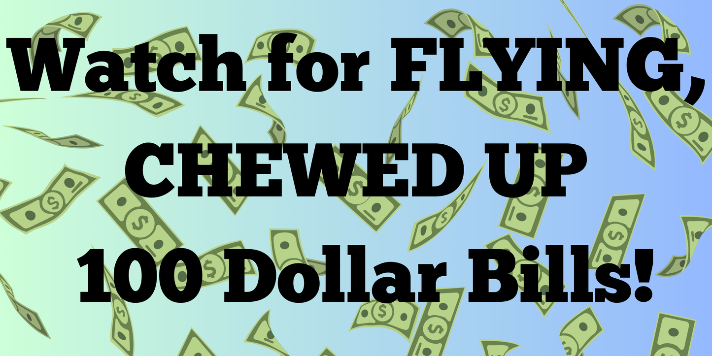 Bumper sticker “watch for flying chewed up 100 dollar bills”